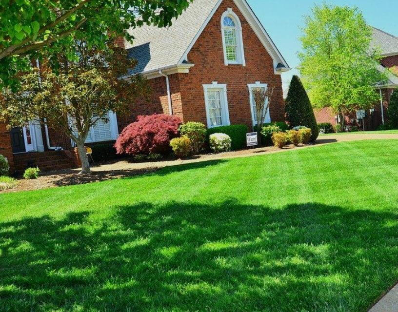 Professional Lawn Care in Oconee County, GA Professional Lawn Care in Oconee County, GA