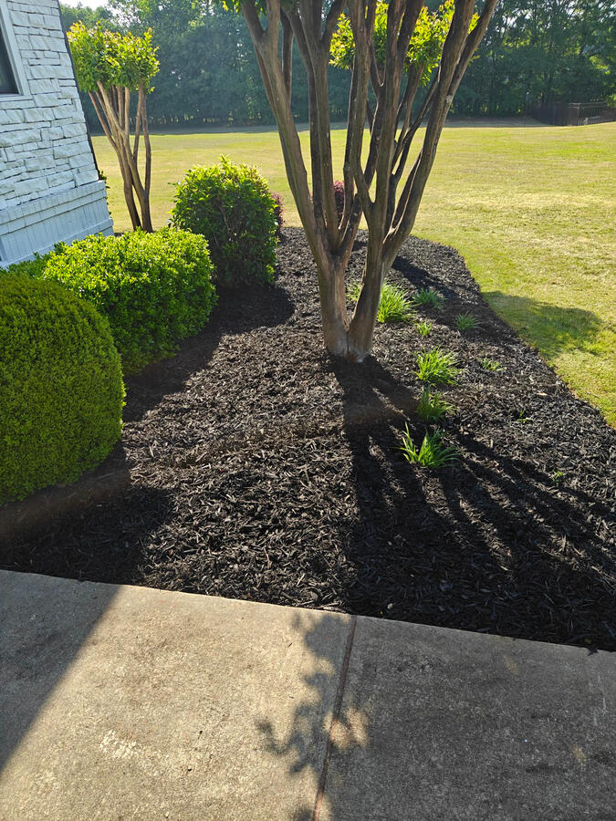 Fresh Mulch Installation & Bed Cleanup Fresh Mulch Installation & Bed Cleanup